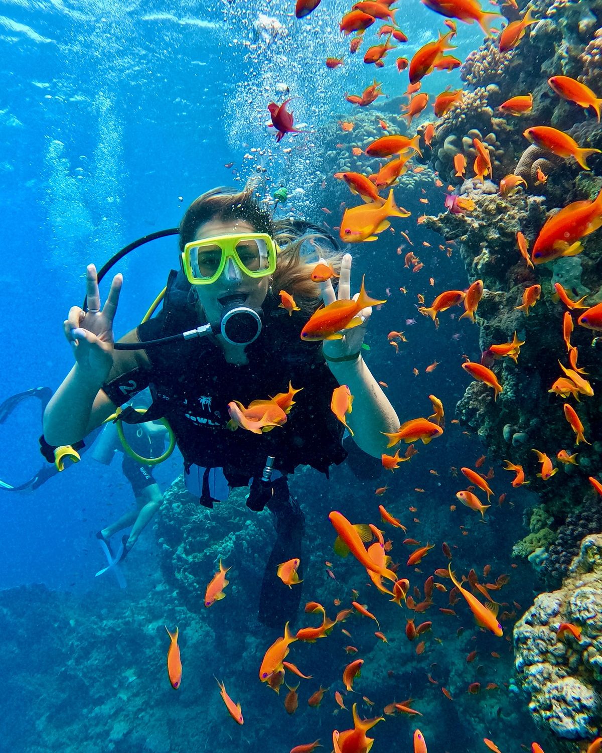 Ocean Conservation Effort